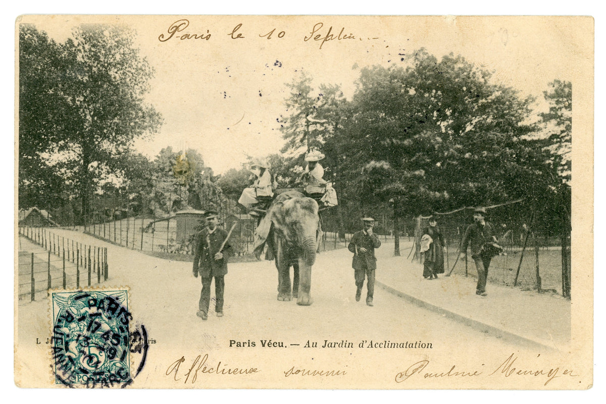 Paris Vécu – Elephant Ride at the Jardin d’Acclimatation – Antique French Postcard