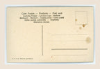 Unused reverse of an antique postcard with multilingual postal headings, D.R.G.M. marking, address lines and an empty stamp box, showing age toning and brown stains.
