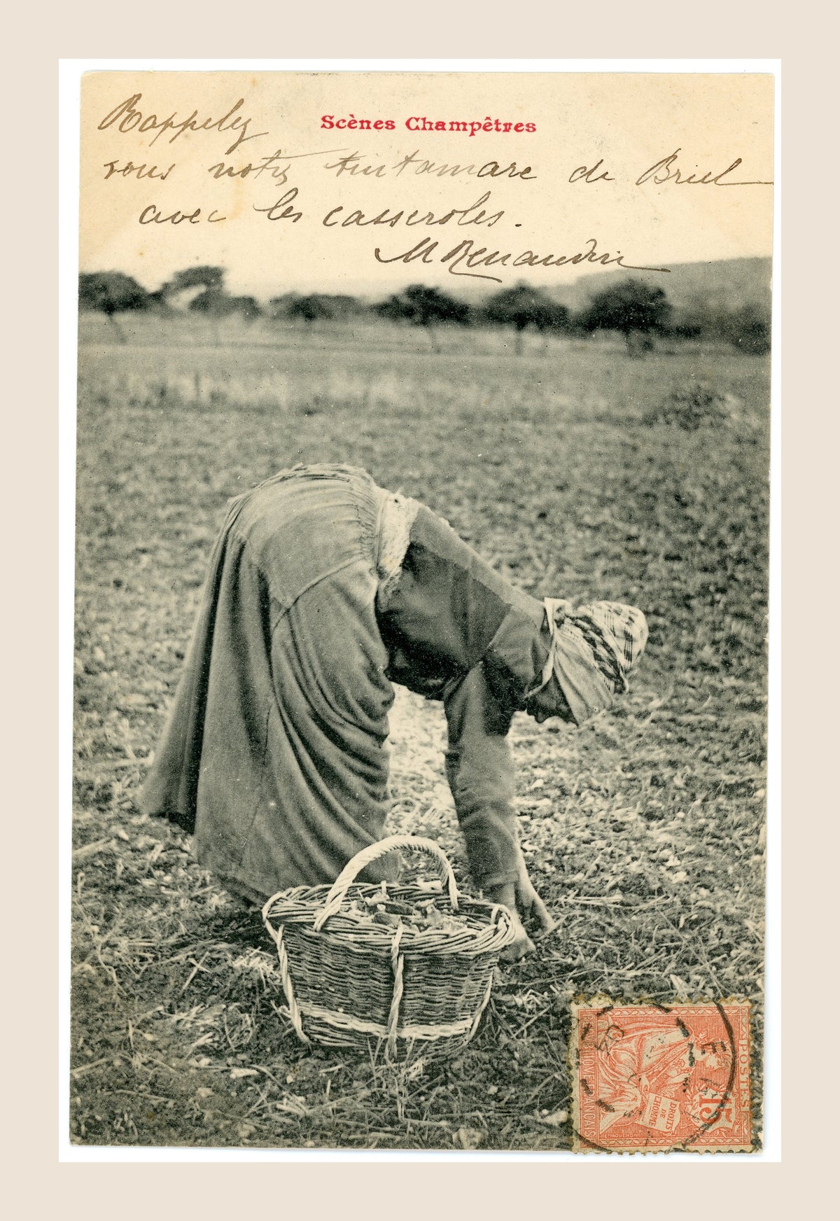 Original Albert Bergeret Scènes Champêtres postcard depicting a rural woman bending over to harvest crops with a wicker basket, featuring an antique French postage stamp.