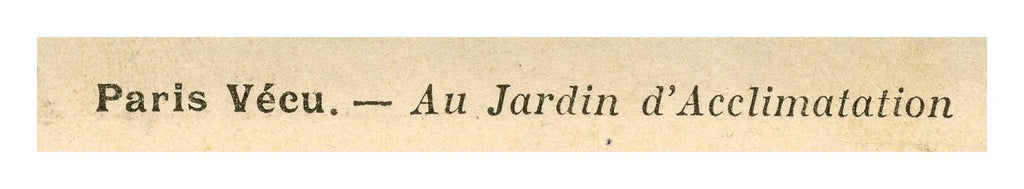 Paris Vécu – Elephant Ride at the Jardin d’Acclimatation – Antique French Postcard