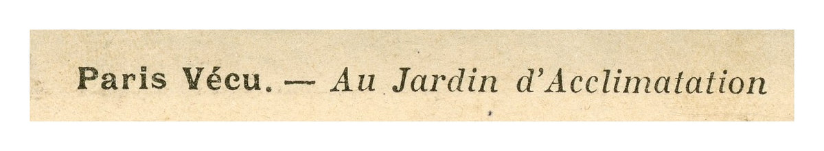 Paris Vécu – Elephant Ride at the Jardin d’Acclimatation – Antique French Postcard