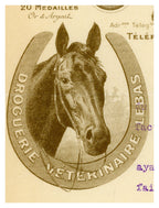 Horse portrait on antique French veterinary letterhead, Paris 1907
