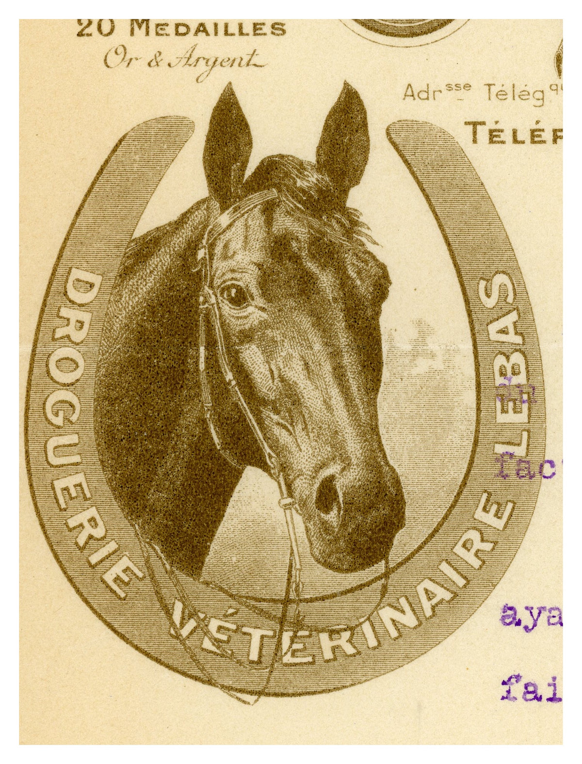 Horse portrait on antique French veterinary letterhead, Paris 1907