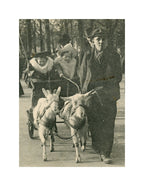 Paris Vécu – Aux Champs-Élysées, La Voiture aux Chèvres – Antique French Postcard
