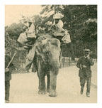 Paris Vécu – Elephant Ride at the Jardin d’Acclimatation – Antique French Postcard