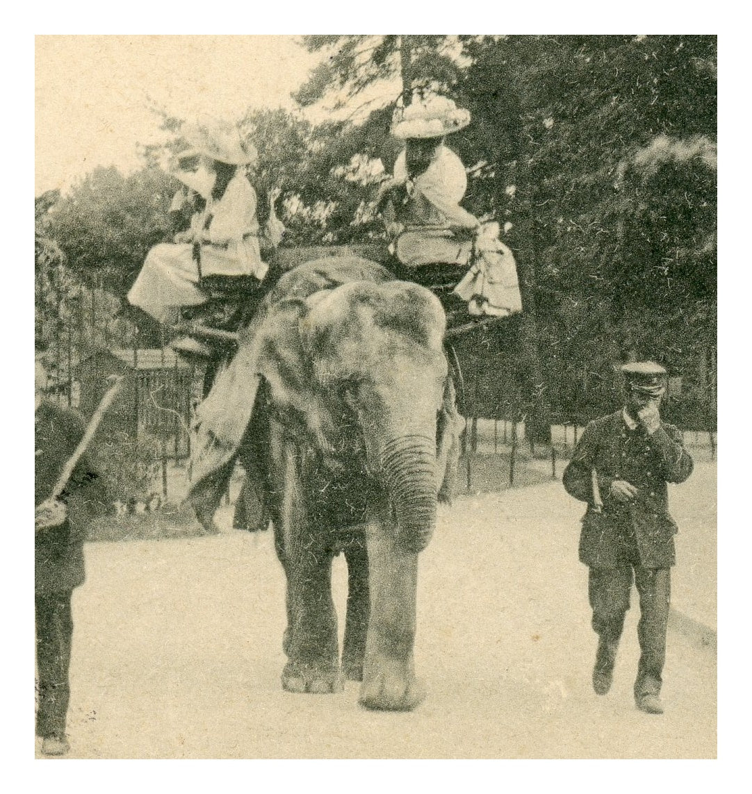Paris Vécu – Elephant Ride at the Jardin d’Acclimatation – Antique French Postcard