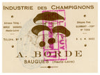 1957 French Mushroom Industry Invoice & Bill of Exchange – A. Borde, Saugues