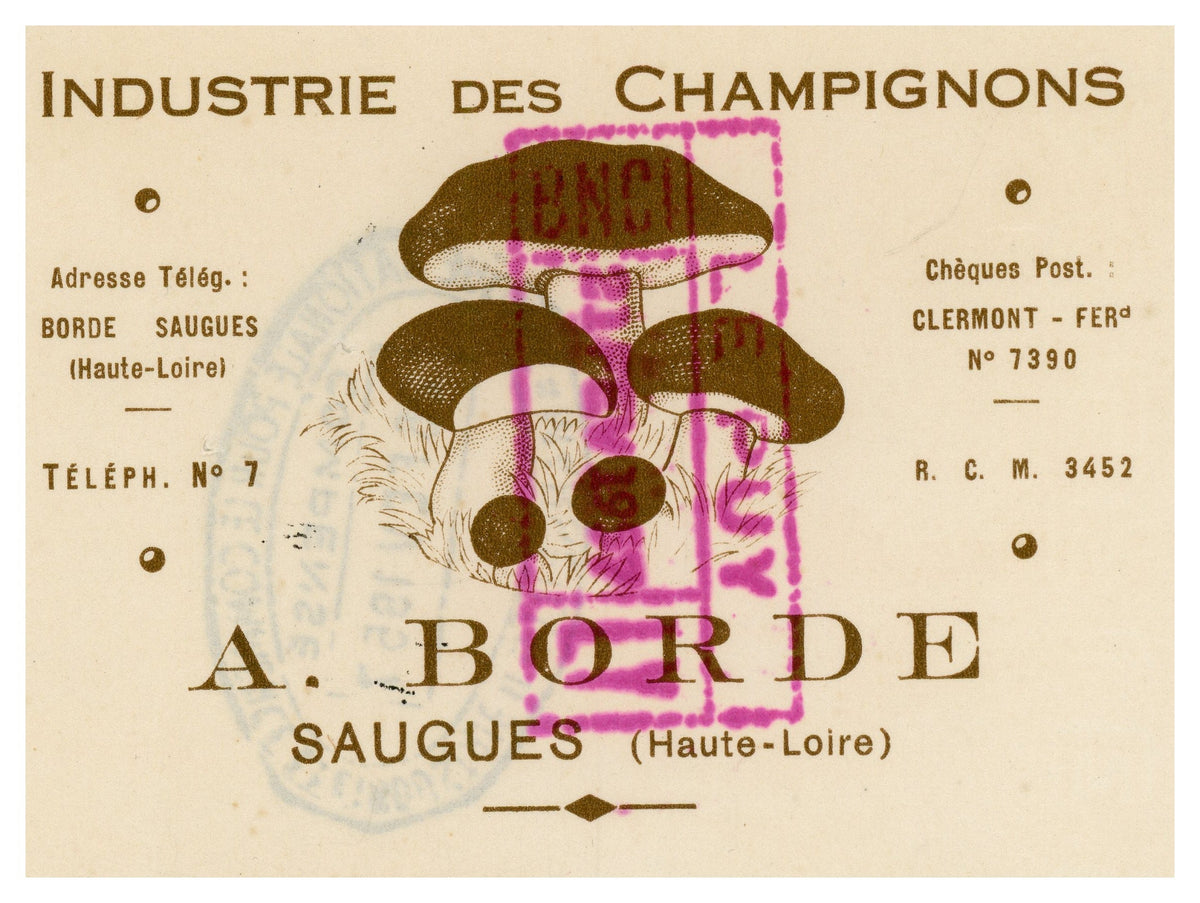 1957 French Mushroom Industry Invoice & Bill of Exchange – A. Borde, Saugues