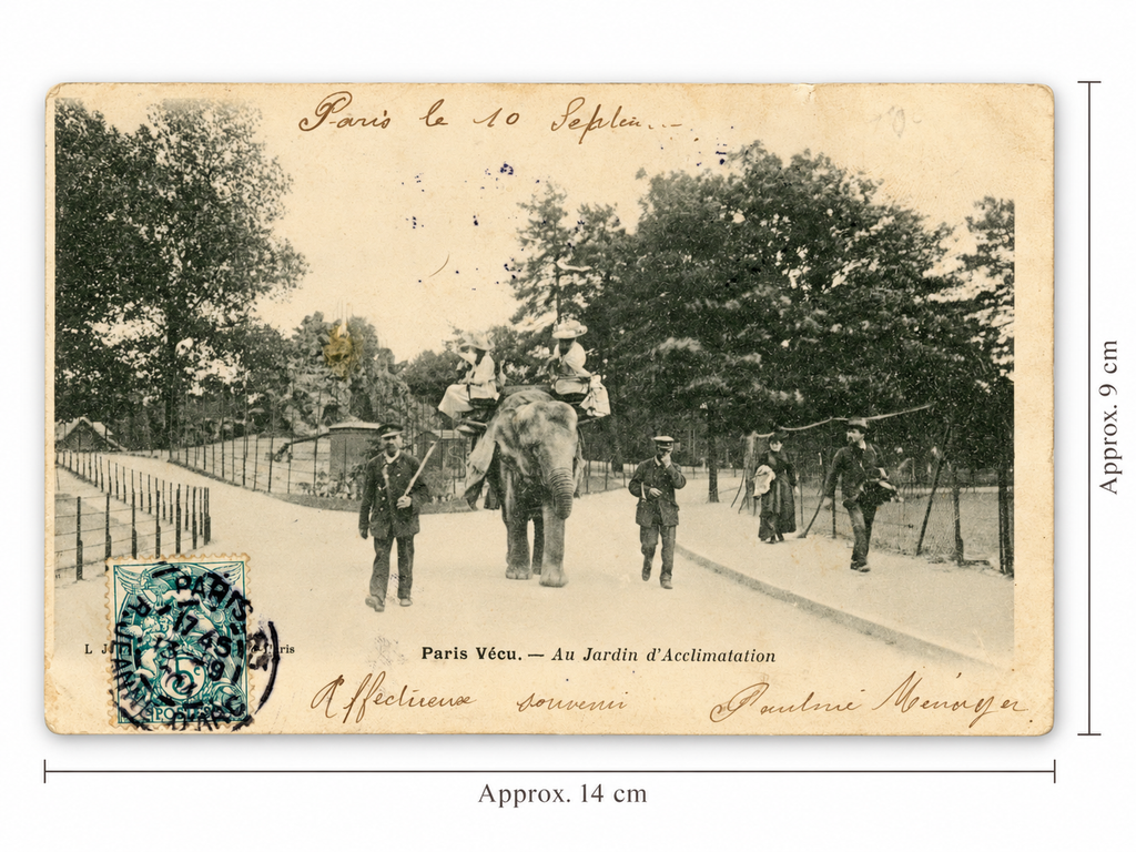 Paris Vécu – Elephant Ride at the Jardin d’Acclimatation – Antique French Postcard