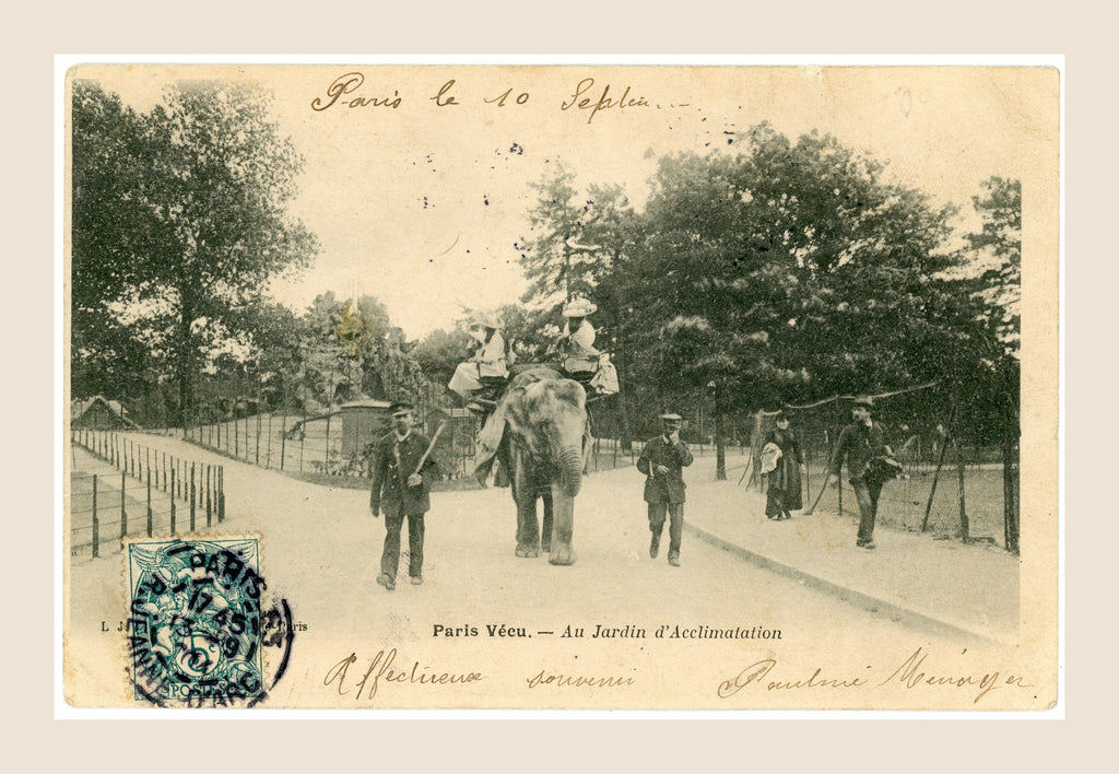 Paris Vécu – Elephant Ride at the Jardin d’Acclimatation – Antique French Postcard